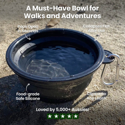 Hikerdog™ Collapsible Bowl