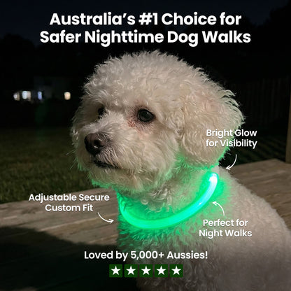 Hikerdog™ Glow Collar