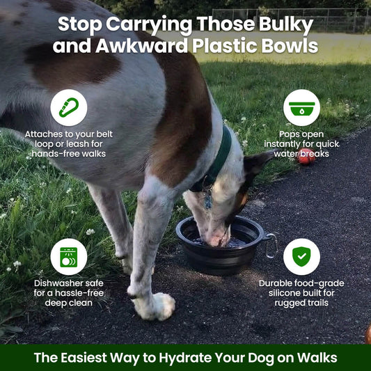 Hikerdog™ Collapsible Bowl