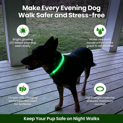 Hikerdog™ Glow Collar