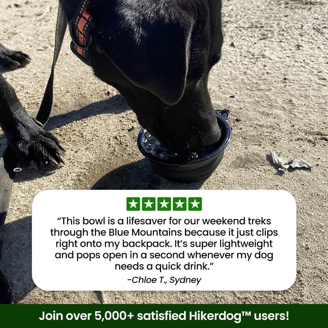 Hikerdog™ Collapsible Bowl
