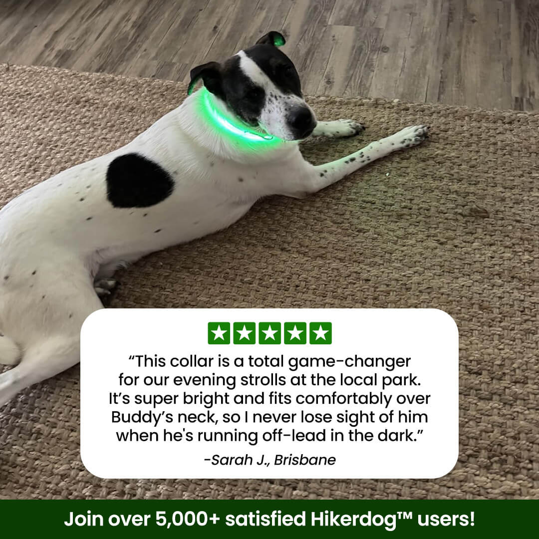 Hikerdog™ Glow Collar