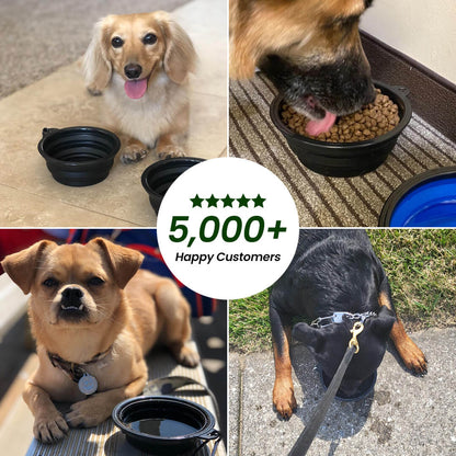 Hikerdog™ Collapsible Bowl