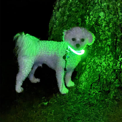 Hikerdog™ Glow Collar