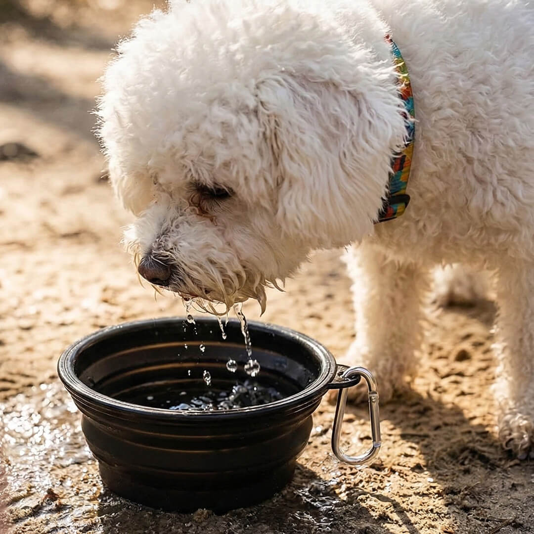 Hikerdog™ Collapsible Bowl