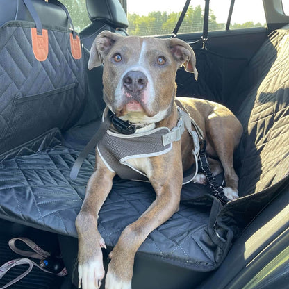 Hikerdog™ Car Seat Cover